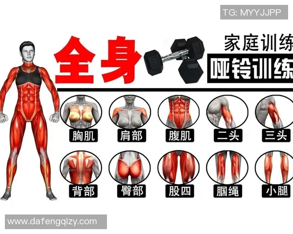 哑铃健身塑造完美身材锻炼胸肌腹肌和肱二头肌的有效方法与技巧