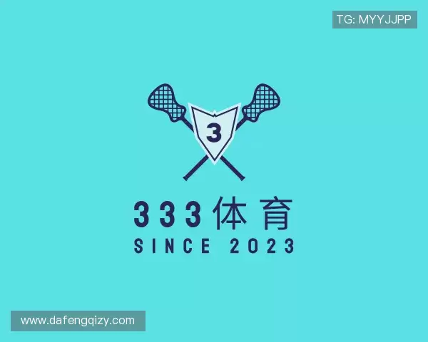认识333体育